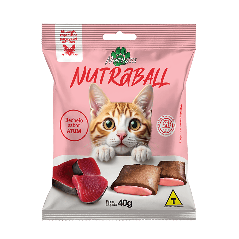 Gato interagindo com o tutor na hora do petisco