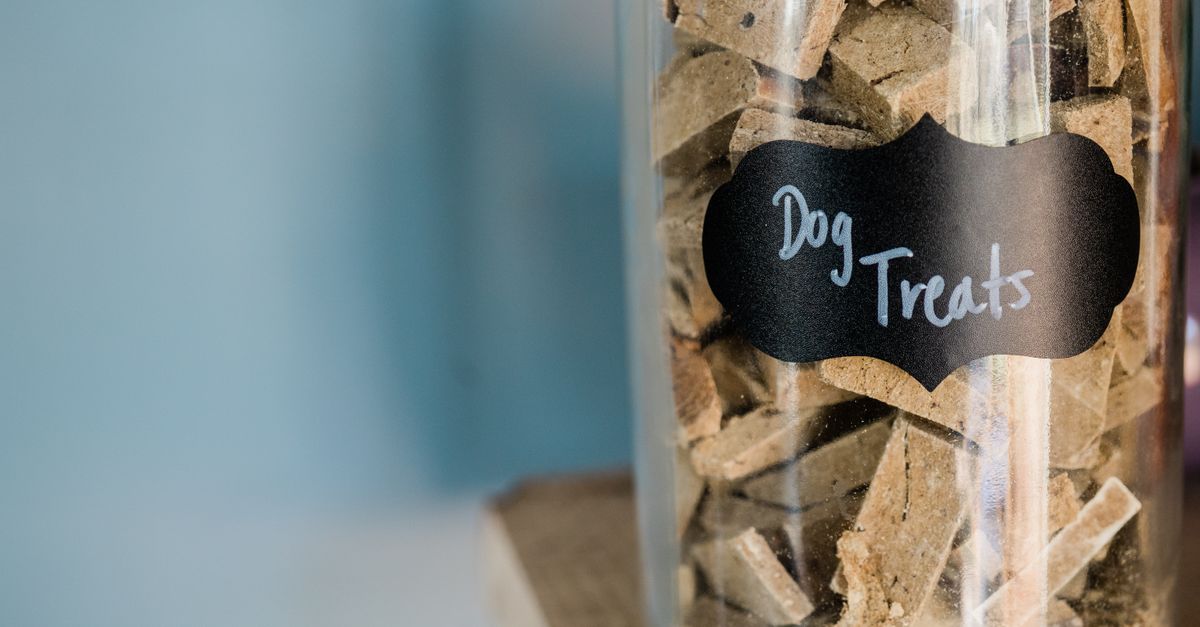 Ingredientes naturais para pets: o que observar no rótulo