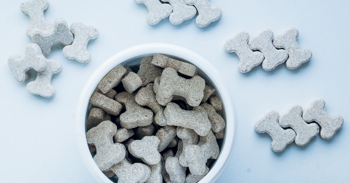Como escolher petiscos saudáveis para cães