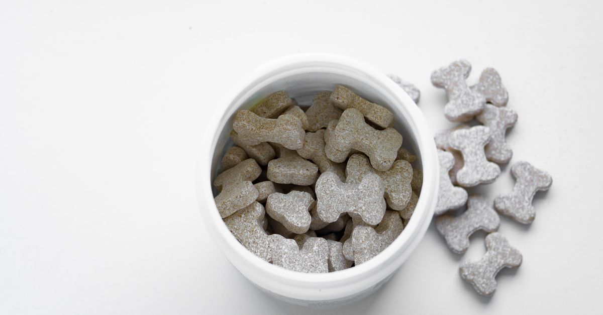 Glucosamina e condroitina para cães: para que servem?