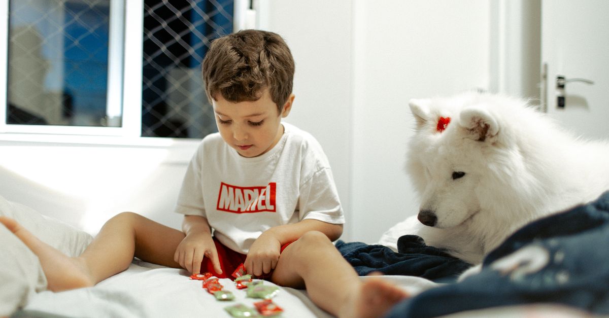 Enriquecimento ambiental para cães: como reduzir o tédio e a ansiedade