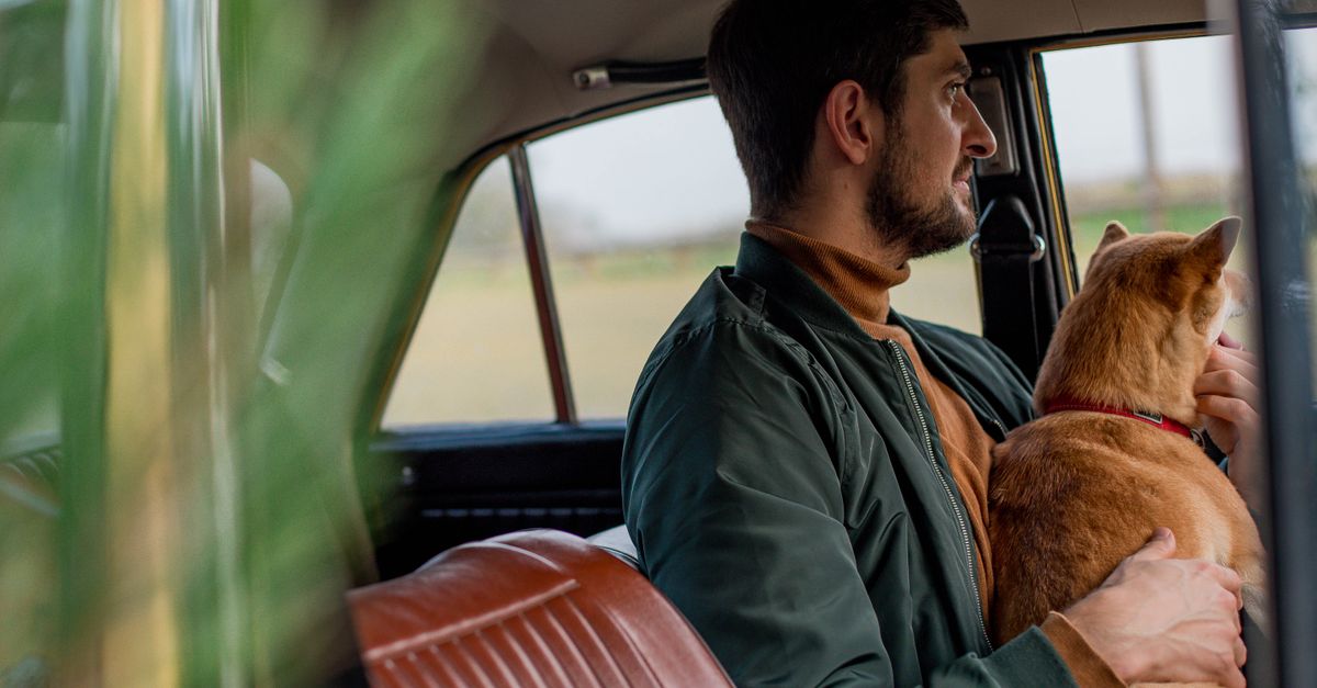 Como deixar o cachorro calmo na viagem de carro