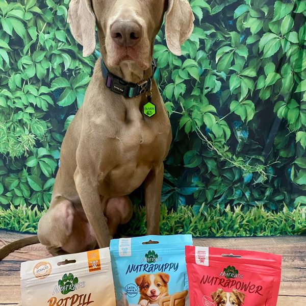 Nutrats — petiscos funcionais para cães e gatos