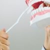 Cachorro com placa bacteriana: como identificar e prevenir