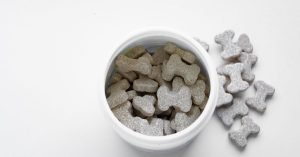 Glucosamina e condroitina para cães: para que servem?