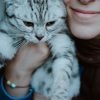 Como fortalecer o vinculo com o gato