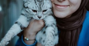 Como fortalecer o vinculo com o gato