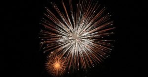 Como acalmar cachorro nos fogos de artifício: guia completo