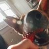 Escovar os dentes do cachorro x petisco dental: qual escolher?